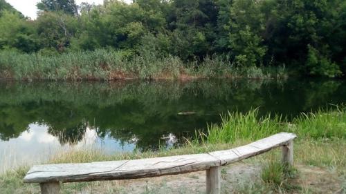 У Чугуєві розробляють новий пішохідний маршрут за мотивами рєпінських робіт та спогадів художника.