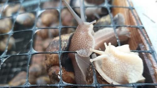 Харківські фахівці з туризму переймають досвід у представників агротуристичного кластера "ГорбоГори".