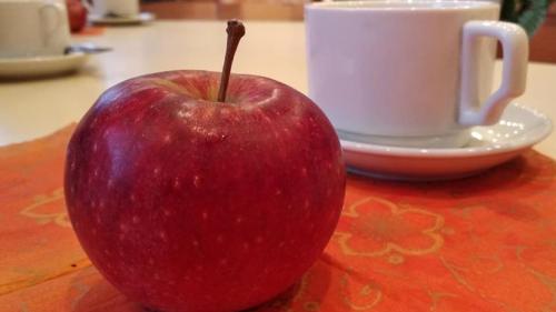 Екскурсоводи та краєзнавці Харківщини побували на "Екскурсії з вікна". 